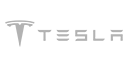 特斯拉.png